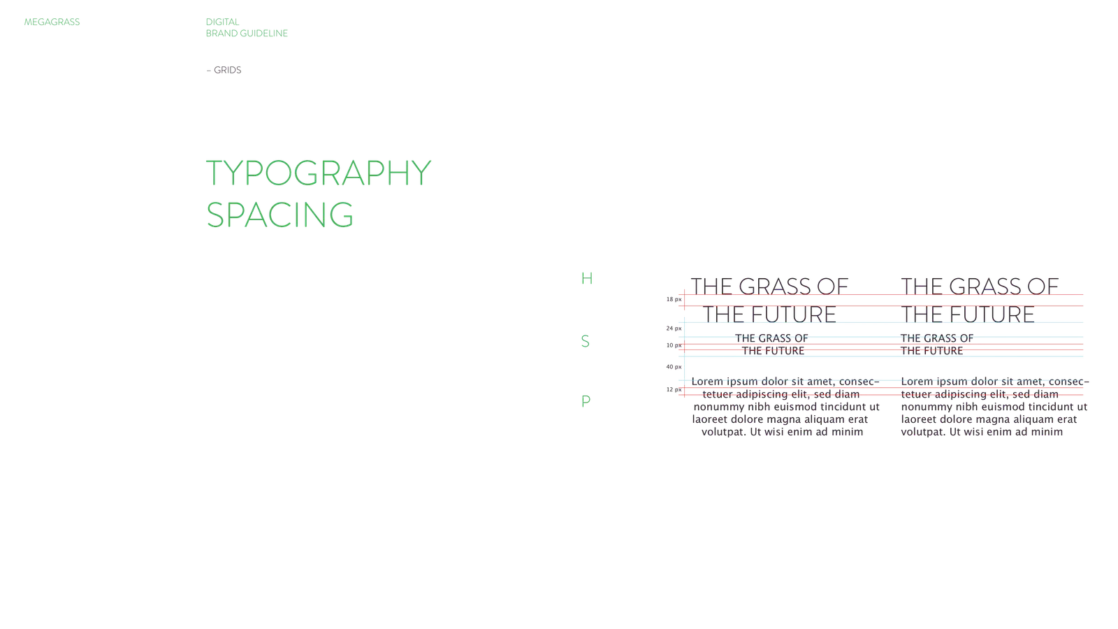 Megagrass gallery 52