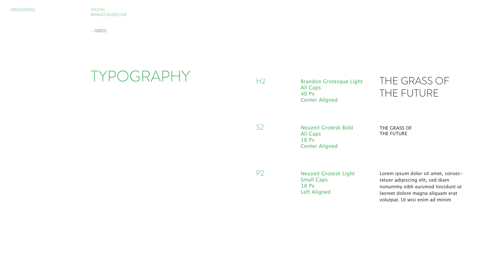 Megagrass gallery 53