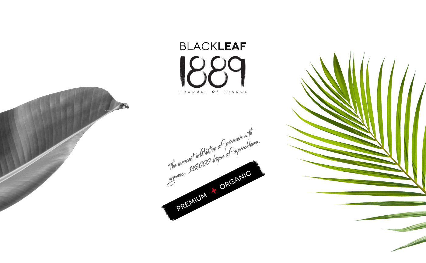 BlackLeaf gallery 1