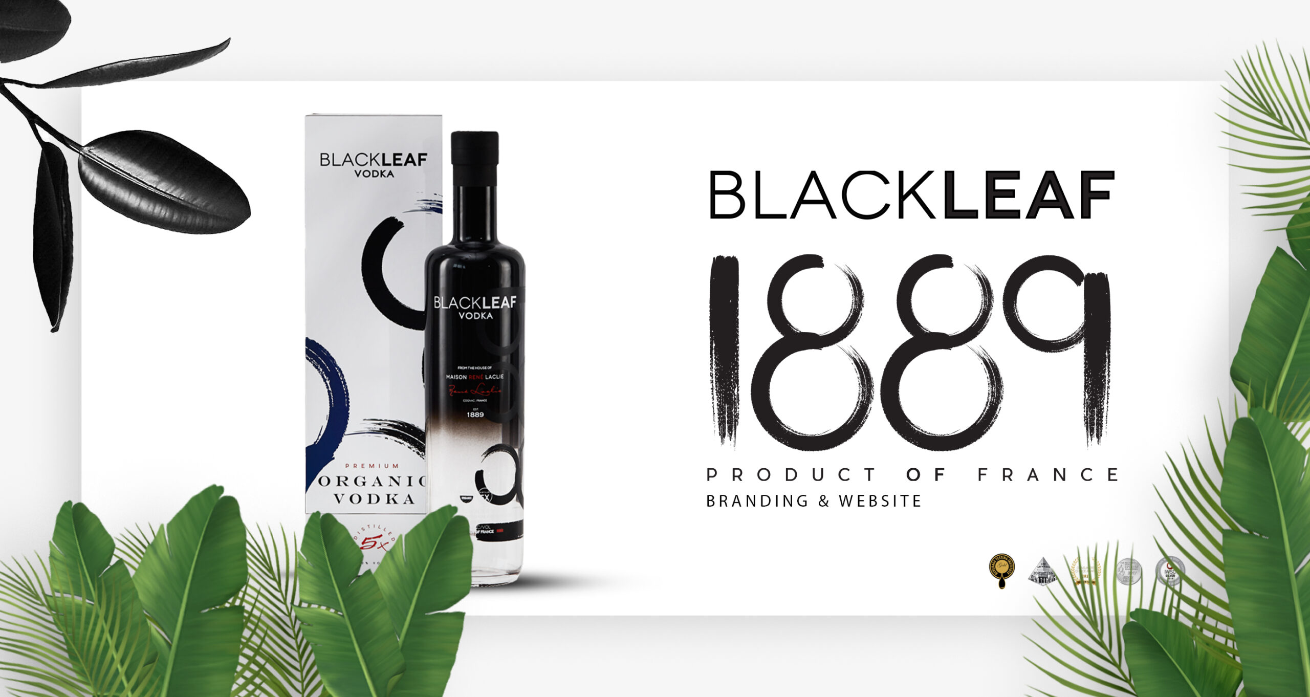 BlackLeaf 2